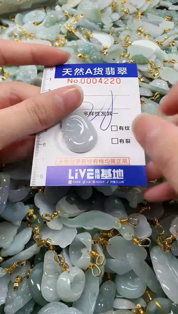 颈饰未镶嵌翡翠纯天然a货翡翠