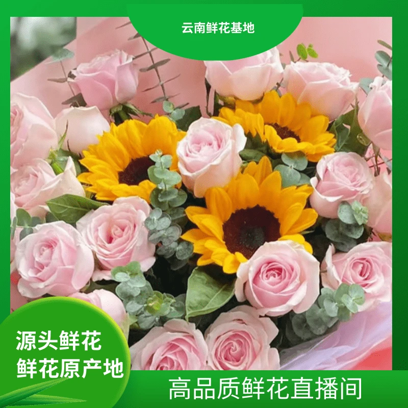 颜花【雪山组合福利】云南鲜花基地直发