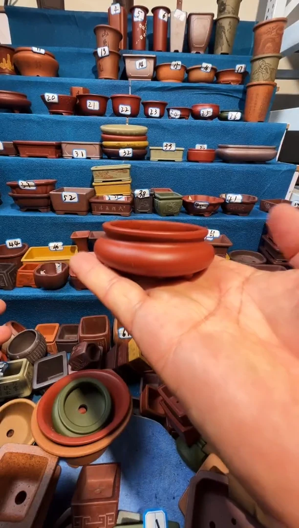 【闪购商品】紫砂紫砂花盆5*2.5