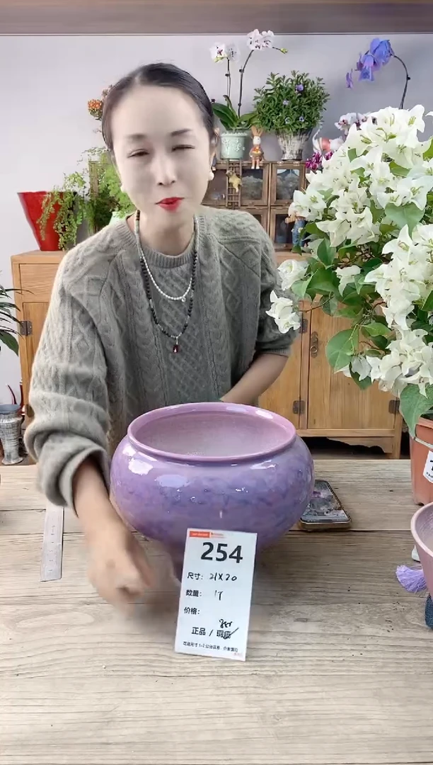 小玩子花盆直播编号254