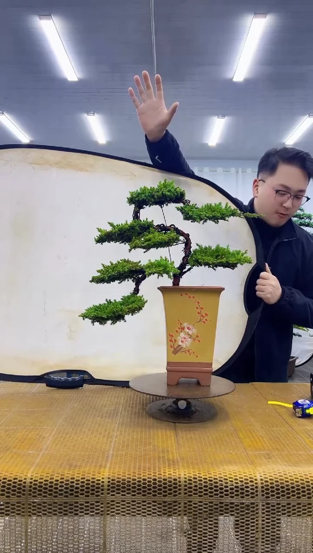 无花朵000000000000000000000