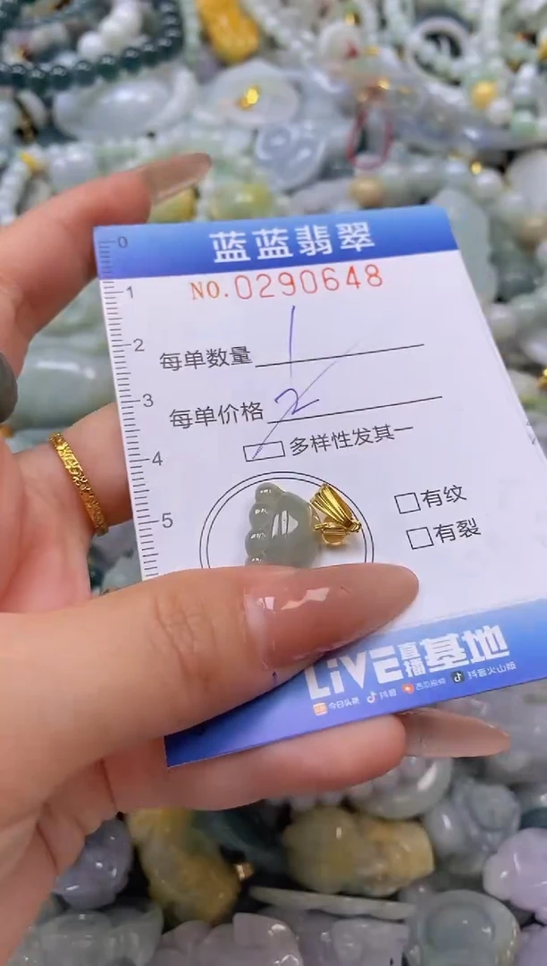 翡翠未镶嵌颈饰闪购0290648多样性发其一