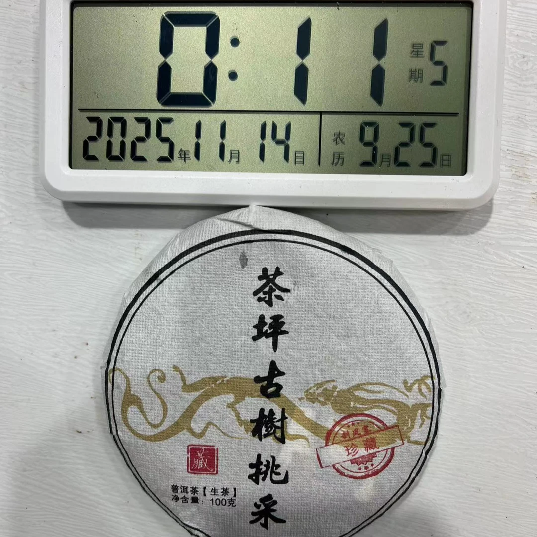 刀刃严选-3697号2025年刮风寨97号茶坪古树挑采生茶饼100g11-13