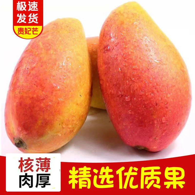 云南贵妃芒树上熟芒果新鲜10水果大果当季整箱现摘红金龙辣椒芒