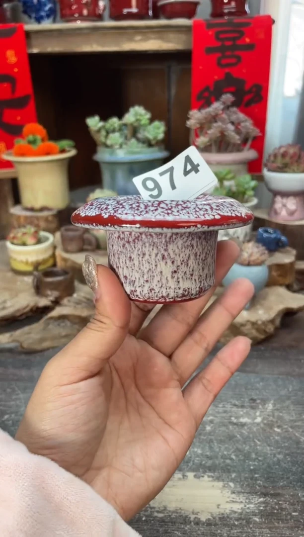 【闪购商品】摆件974知木小芳花盆