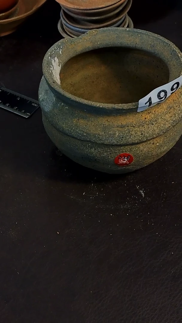 ?**?珠珠家的漂亮茶器199