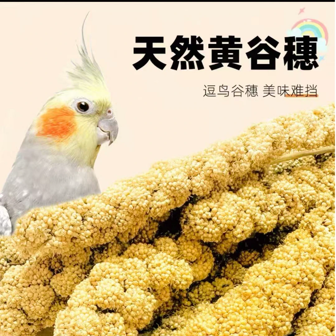 鹦鹉新鲜天然谷穗带壳黄谷穗玄凤学吃饲料鸟粮鸟食学吃专用