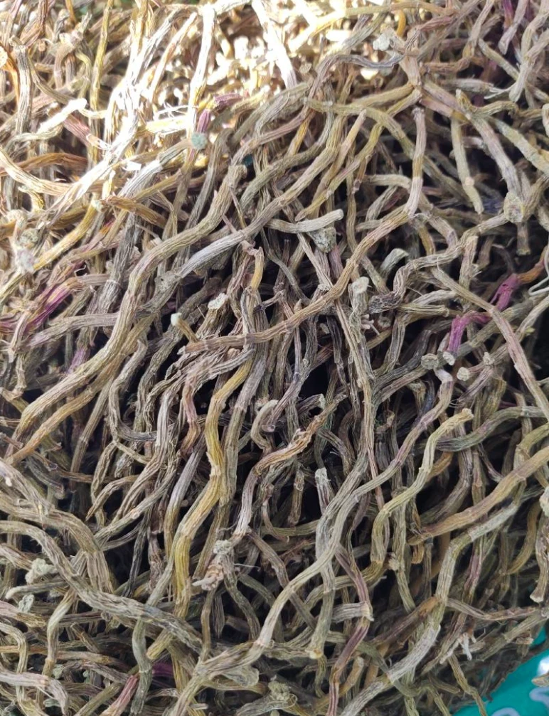 云南小培优选山货 石角芽条 滋养首选  佳节必备 送佳品