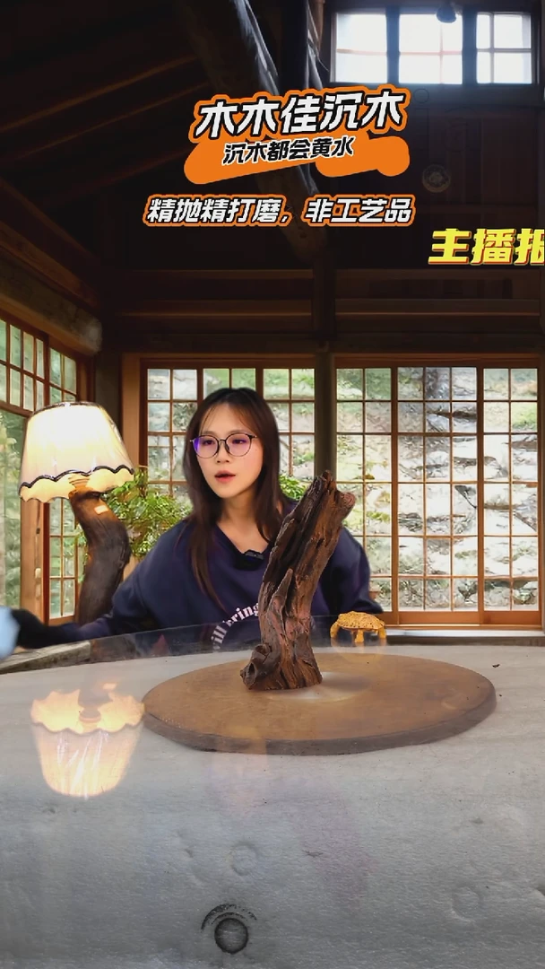 冰*落木木佳沉木鱼缸造景-236