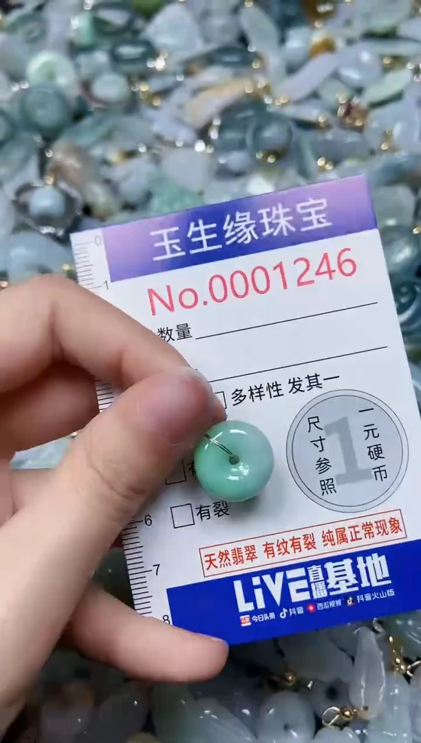 【闪购商品】翡翠颈饰未镶嵌闪购00001246