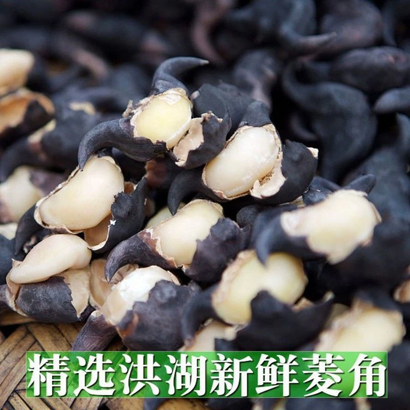 湖北新鲜菱角老菱角菱角新鲜老菱角棱角凌角洪湖菱角水果蔬菜批发