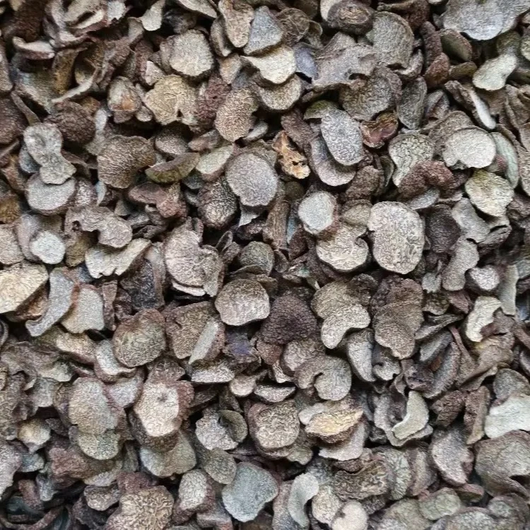 [云南山货]精品黑松露夏至茯苓