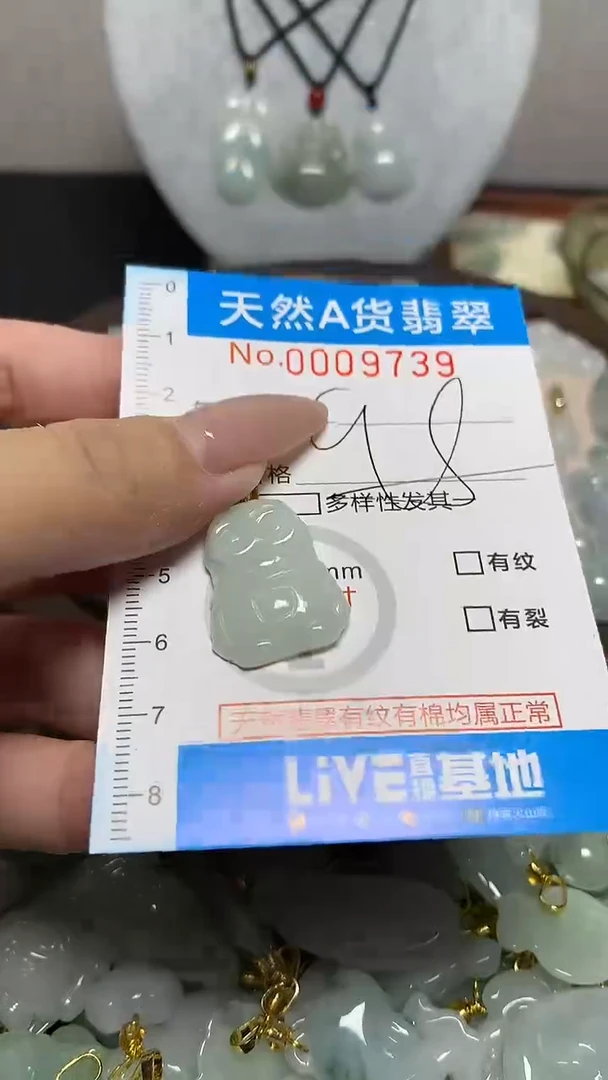 翡翠未镶嵌颈饰净货挂件-9739