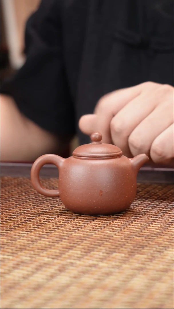 茶壶紫砂汀禾紫砂羊角山紫泥匏樽