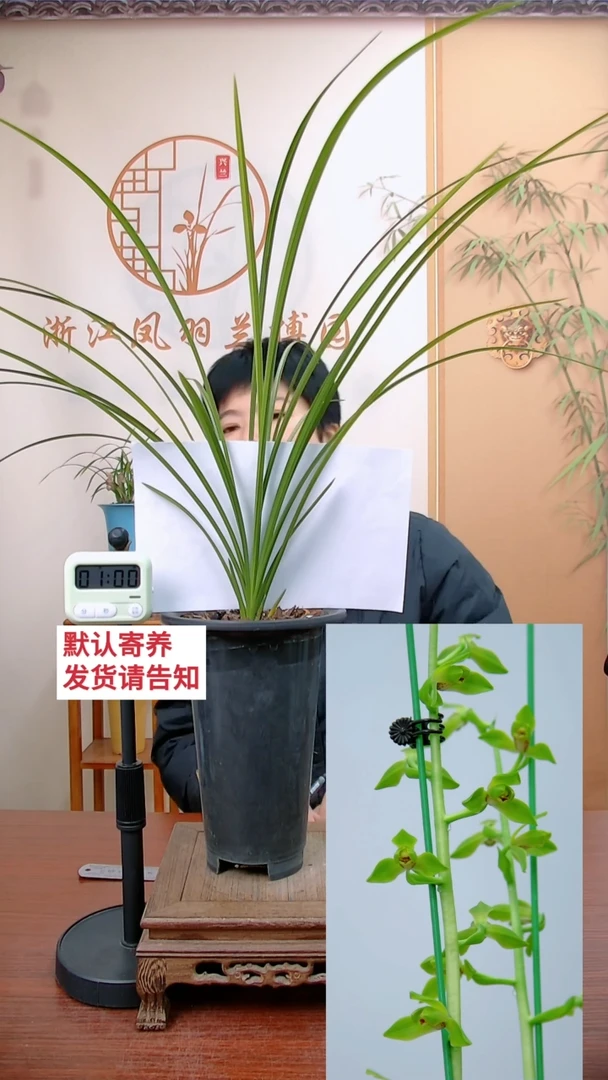 【闪购商品】翠丰，随州广水祝大勇