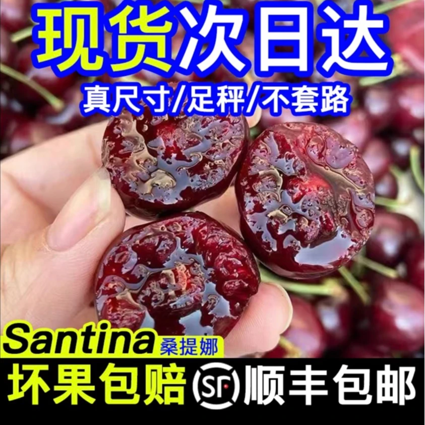 【新鲜头茬】Y智利进口2斤装桑提娜车厘子2J/3J脆甜多汁顺丰包邮