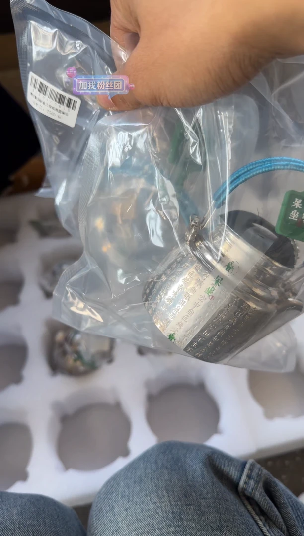 呆坐 锤纹錾刻掐丝 提梁壶
