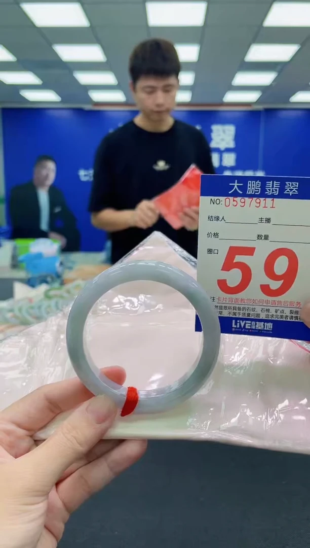 未镶嵌手镯翡翠AAAAAAAAA