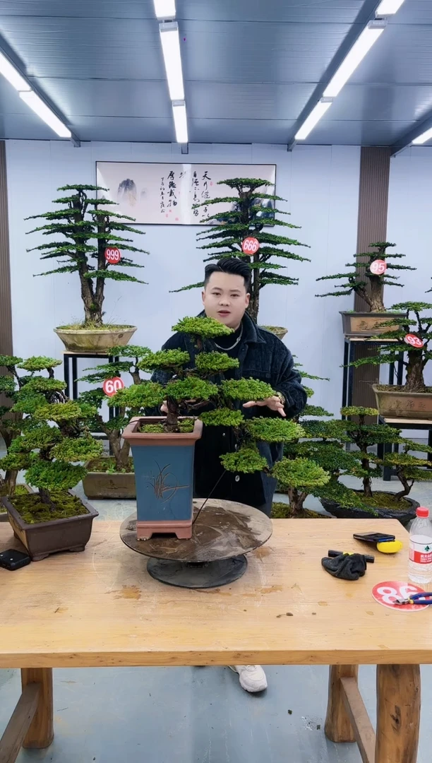 以实际为准用****0000