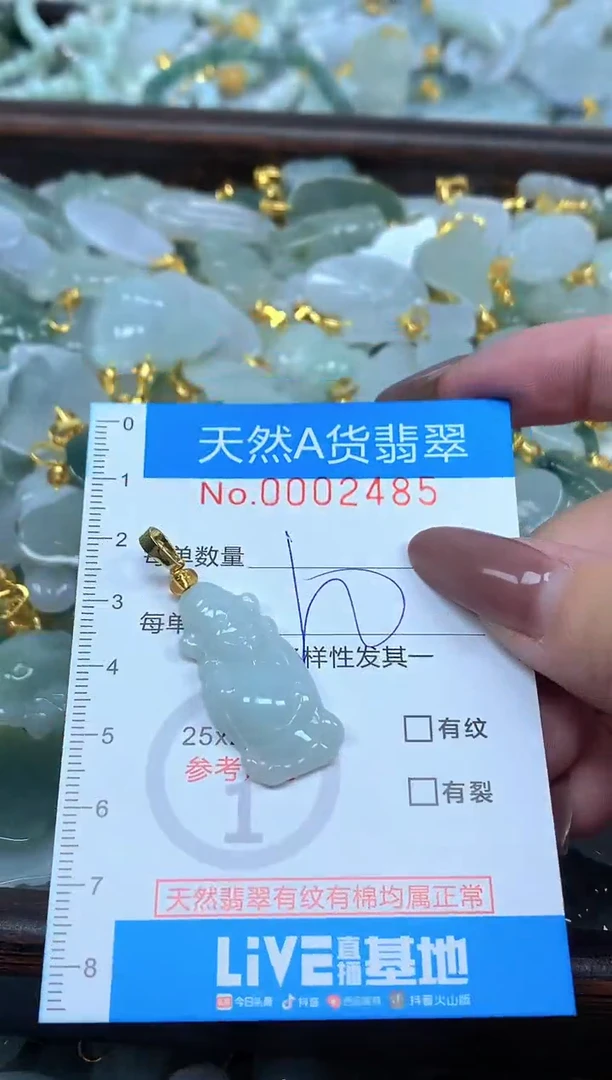 颈饰未镶嵌翡翠净货挂件-2485