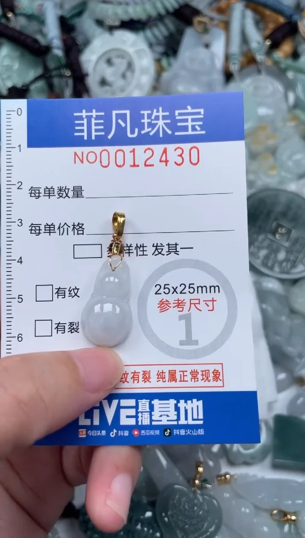 颈饰未镶嵌翡翠12430