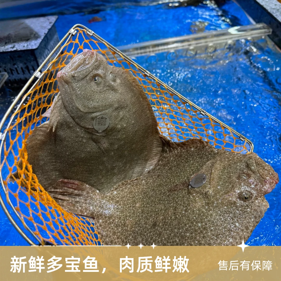 【鲜活有氧】鲜活多宝鱼700g/条