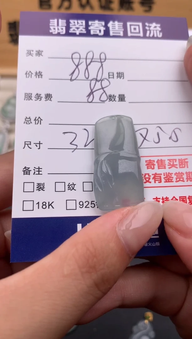 翡翠未镶嵌颈饰10134401
