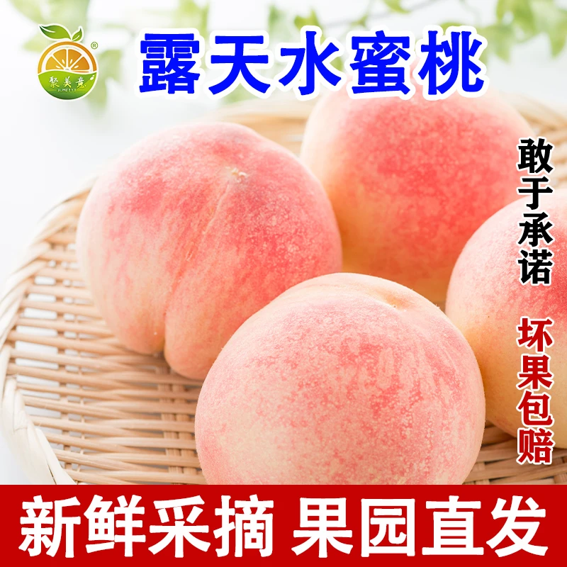 聚美意【新鲜采摘】头茬陕西露天水蜜桃脆甜多汁果园直发当季水果