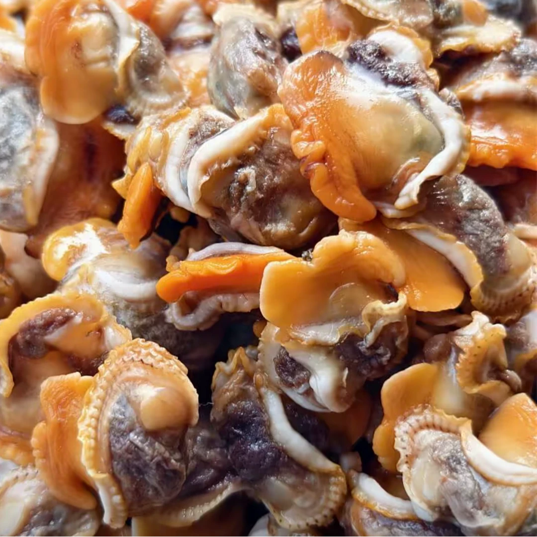 新鲜赤贝肉野生3斤