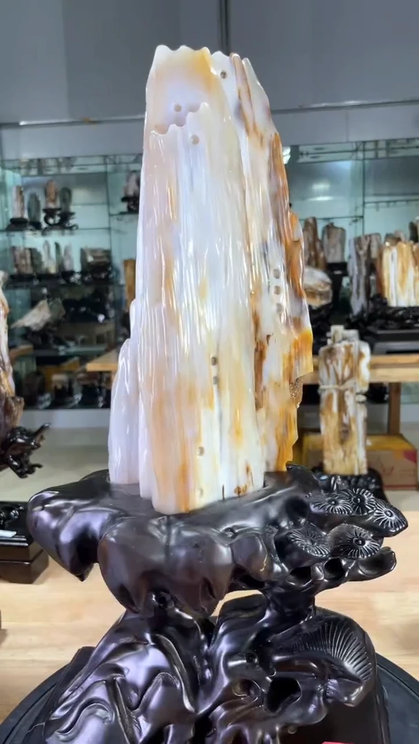 【闪购商品】硅化玉珠宝奇石未镶嵌880