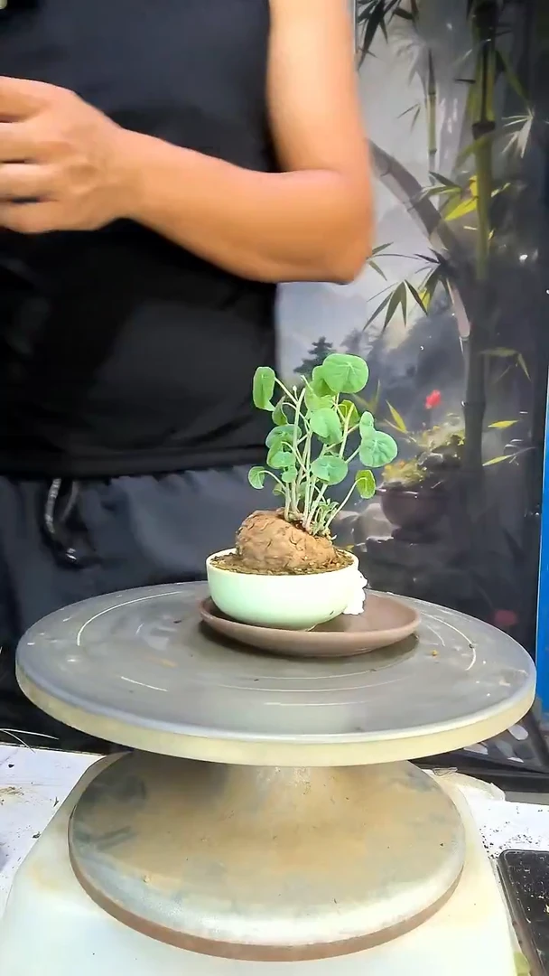2****姐中青园艺一物一拍83