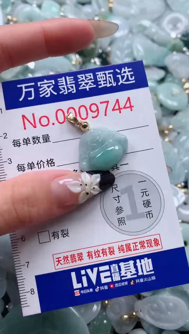 翡翠未镶嵌颈饰9744