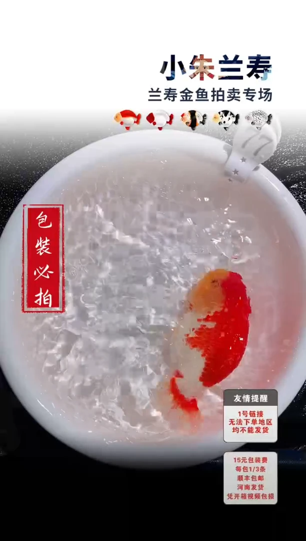 金鱼包装必拍未拍顺丰到付77号