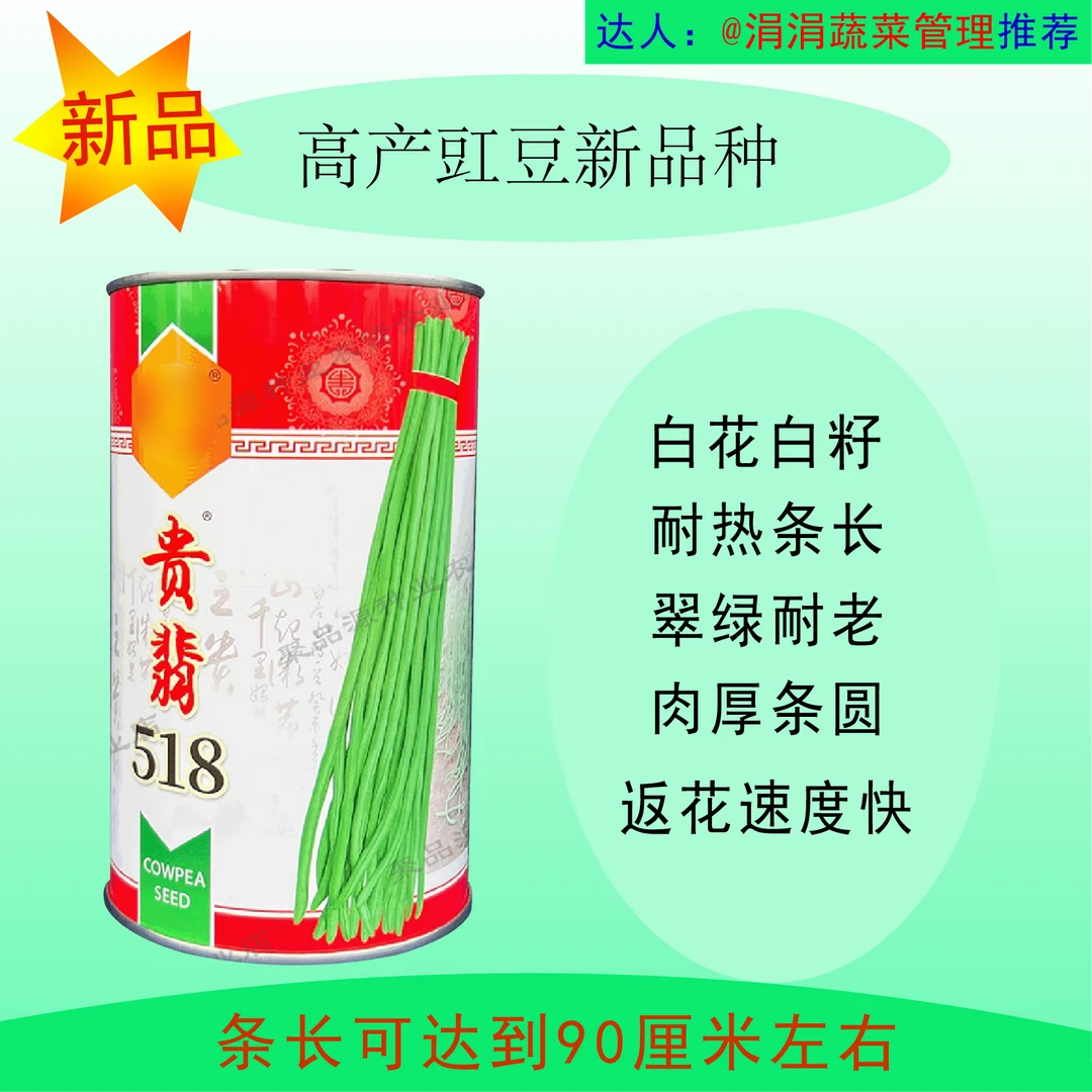 【贵翡518】新品种豇豆白花白籽耐热，条长，抗病，肉厚连续开花座果