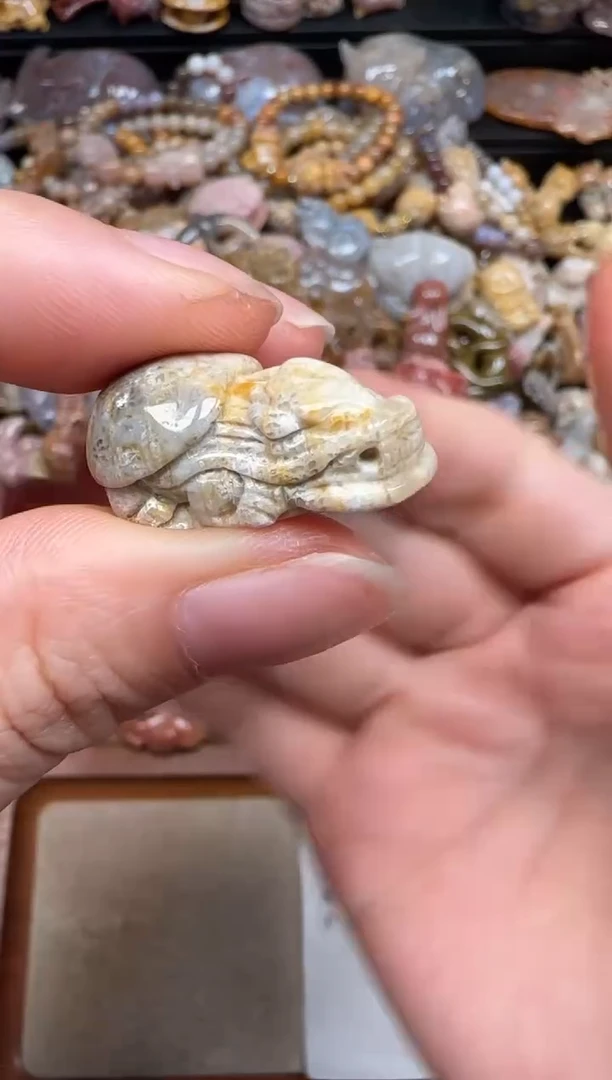 硅化珊瑚（珊瑚玉）未镶嵌颈饰041