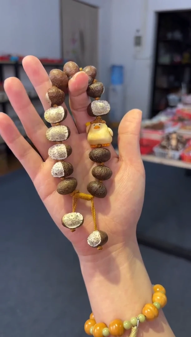 吊坠菩提根/象牙果星月元宝【门前大桥下】手持