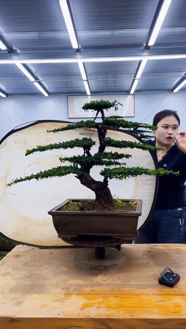 无花朵一物一拍，所见即所得