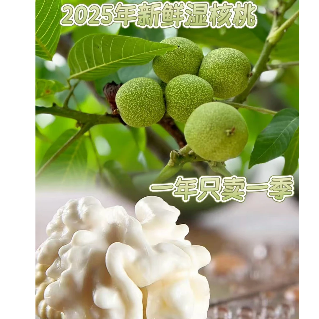 云南楚雄新鲜现摘去青皮湿核桃自然成熟