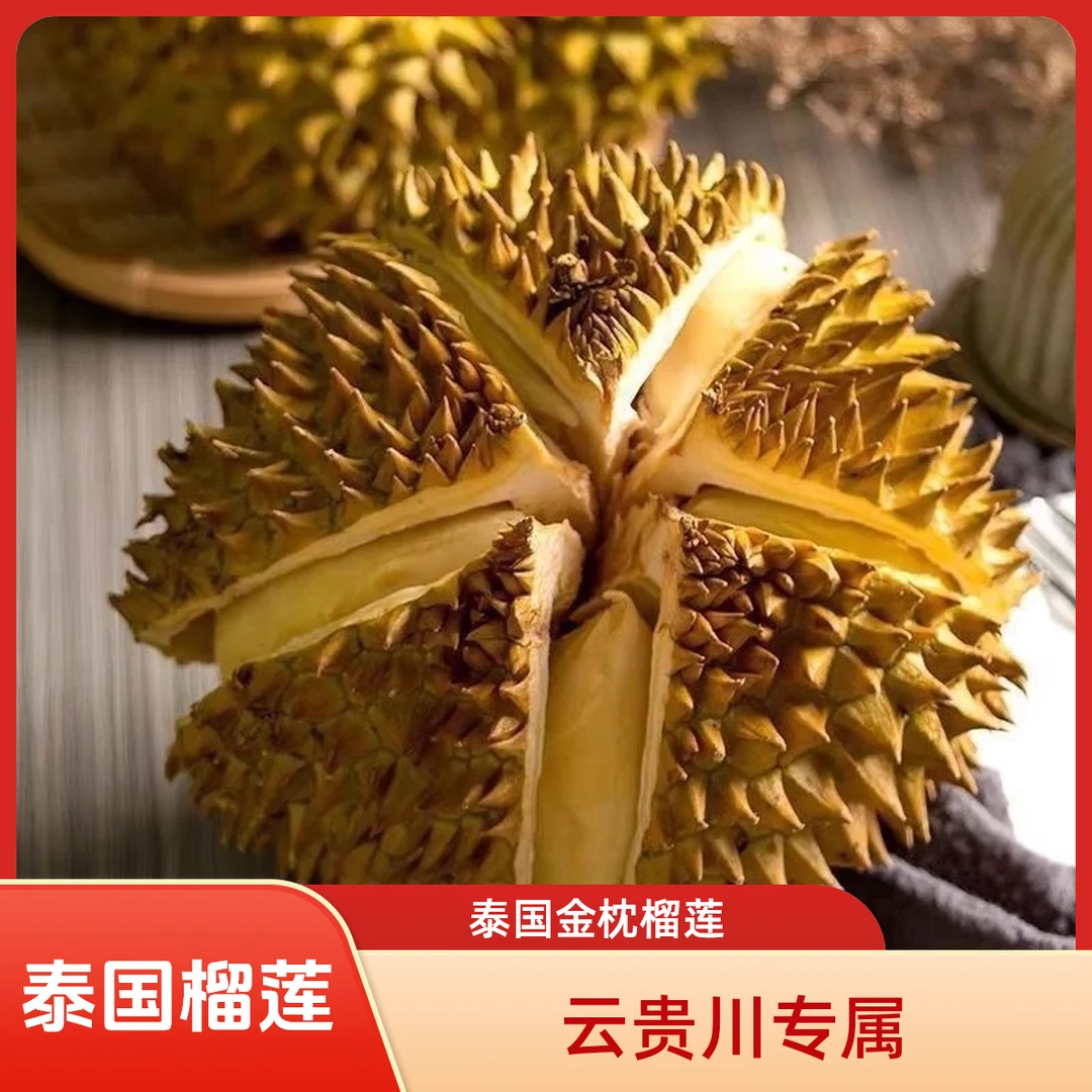 A1【一物一拍云贵川专属】泰国进口金枕榴莲整颗带壳生切没售后