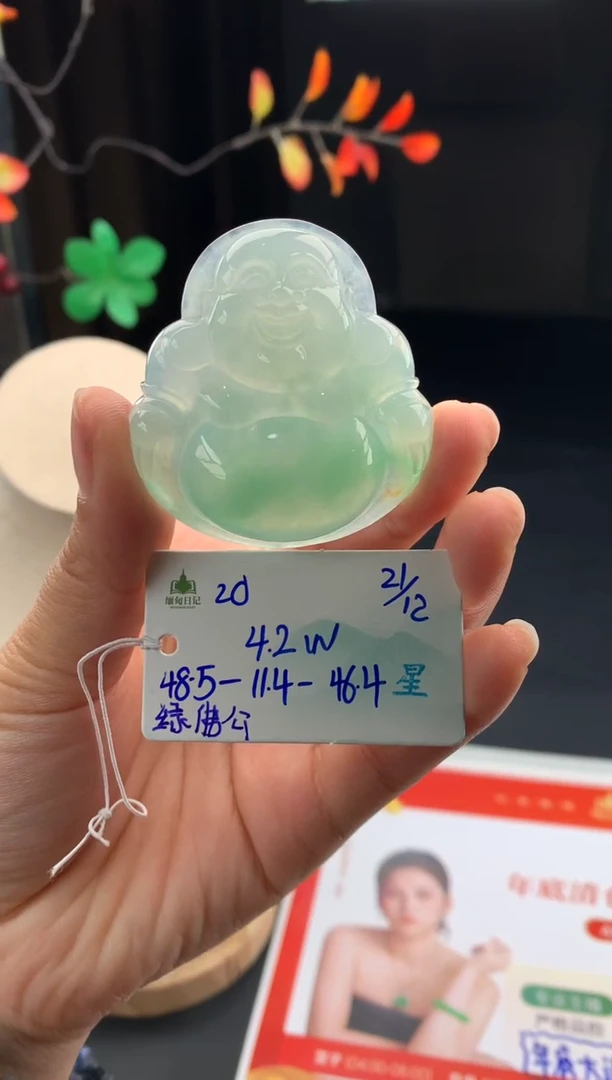 颈饰未镶嵌翡翠翡翠自带#送人#，假一赔三