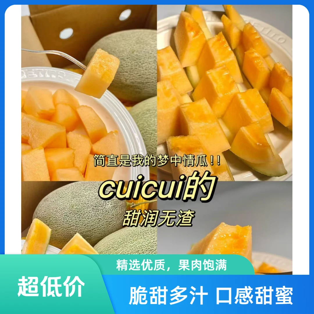 【海南树熟都知果哈密瓜】-值得无限回购的一款哈密瓜-特脆特甜