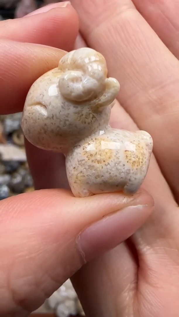 【闪购商品】硅化珊瑚（珊瑚玉）颈饰未镶嵌643