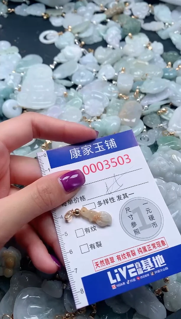 颈饰未镶嵌翡翠3503
