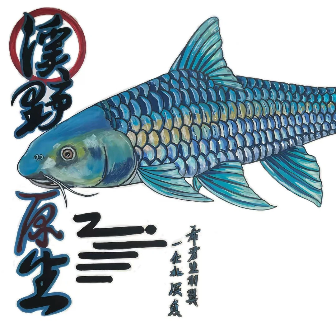 溪野原生蓝吉罗异口原生观赏鱼（勿私拍）挑鱼看鱼