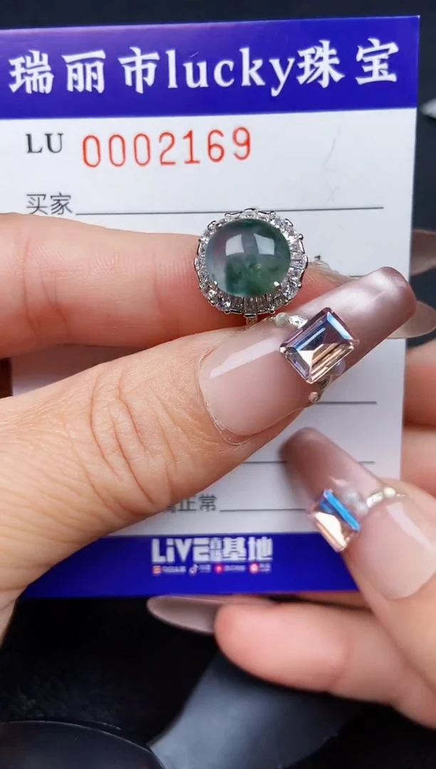 翡翠银S925镶嵌颈饰2169