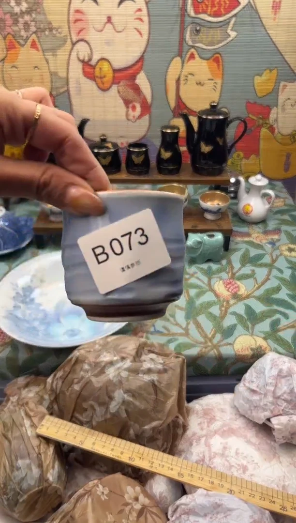 瓷片风****8   B073