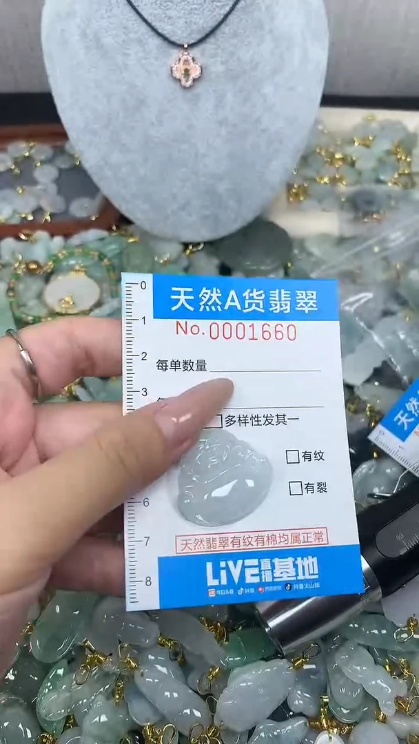 翡翠未镶嵌颈饰净货挂件-1660
