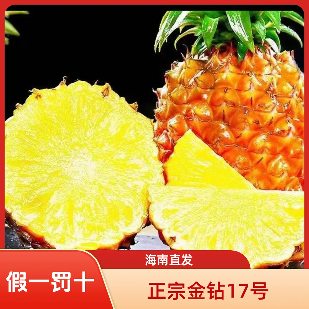 单果2斤以上海南直发金钻凤梨薄皮多汁现摘香甜应季树熟热带水果