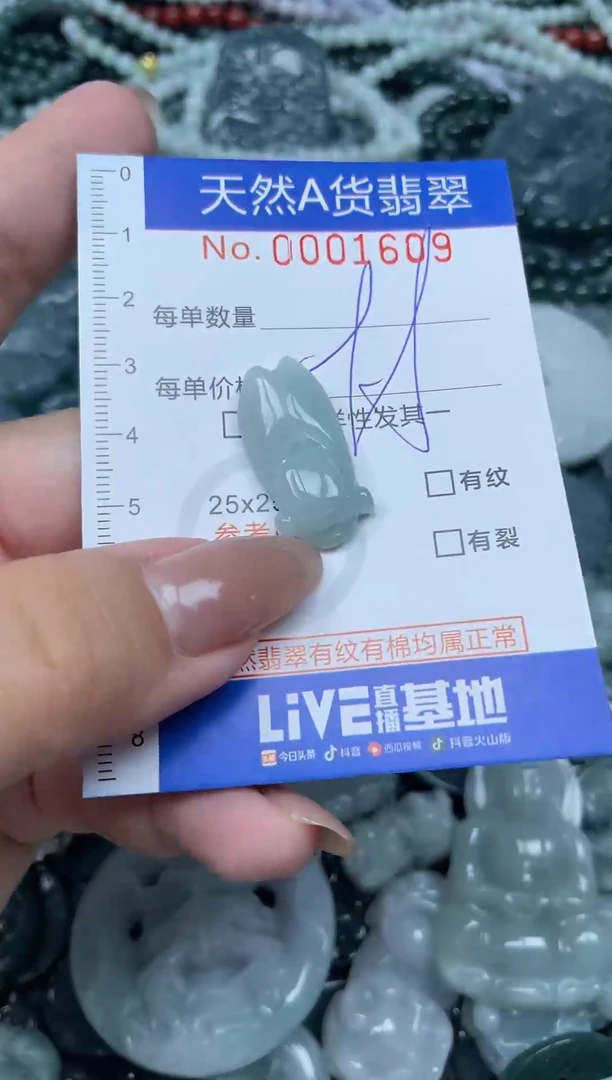 颈饰未镶嵌翡翠天然A货 支持复检