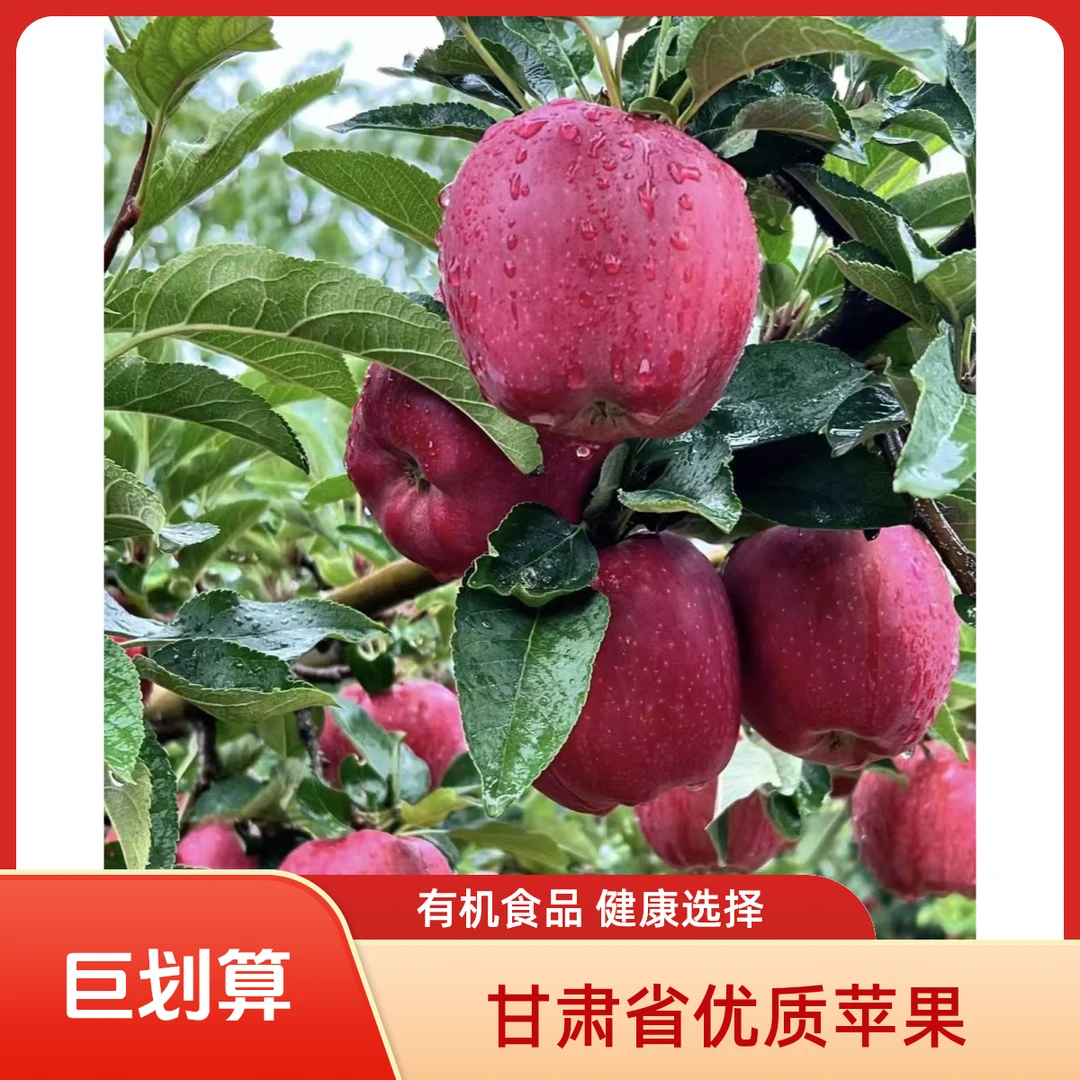 甘肃礼县花牛苹果脆甜/粉面两吃新鲜采摘当季水果